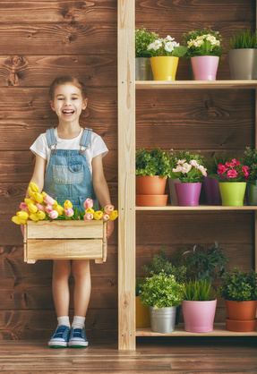 niña con plantador de tulipán