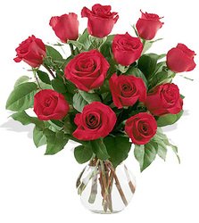Una docena de rosas rojas dispuestas en florero